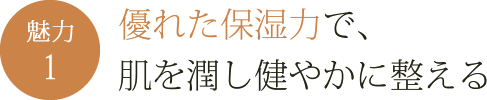優れた保湿力で、肌を潤し健やかに整える