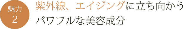 紫外線、エイジングに立ち向かうパワフルな美容成分