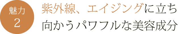 紫外線、エイジングに立ち向かうパワフルな美容成分